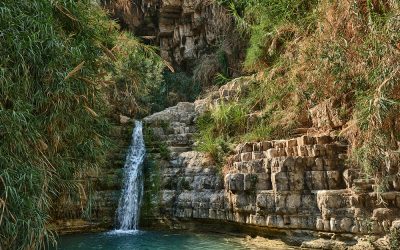Ein Gedi — An Oasis In The Wilderness
