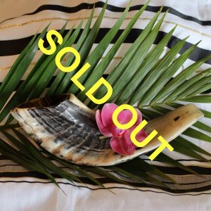 Ram’s Horn Shofar from Jerusalem