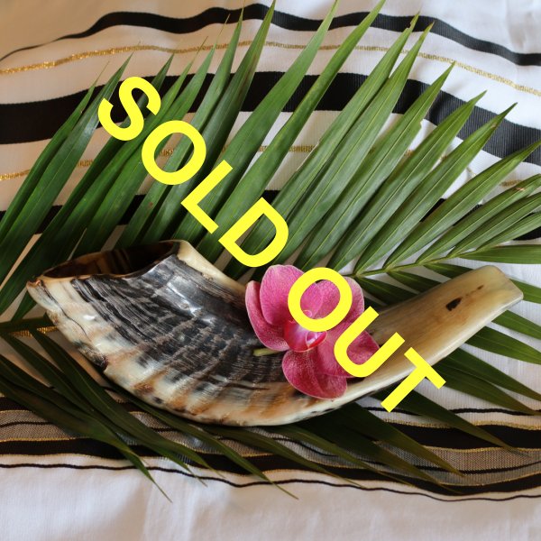 Ram’s Horn Shofar from Jerusalem