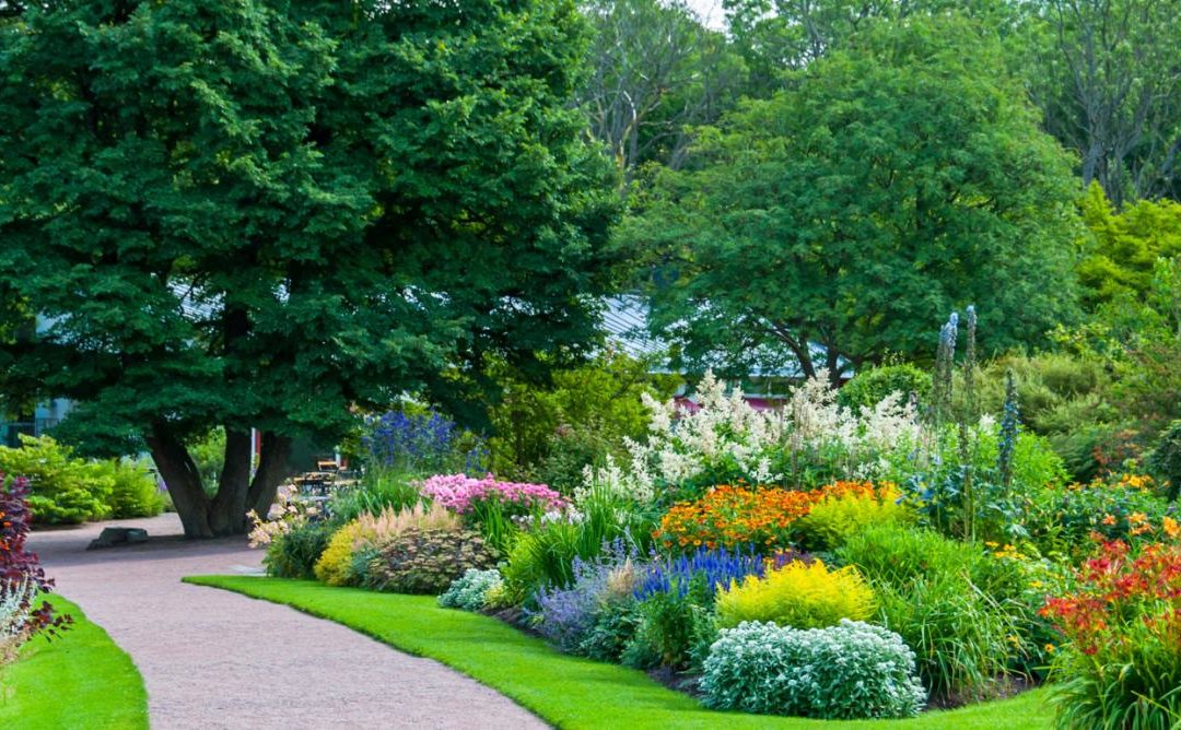 A Garden of Eden Before You
