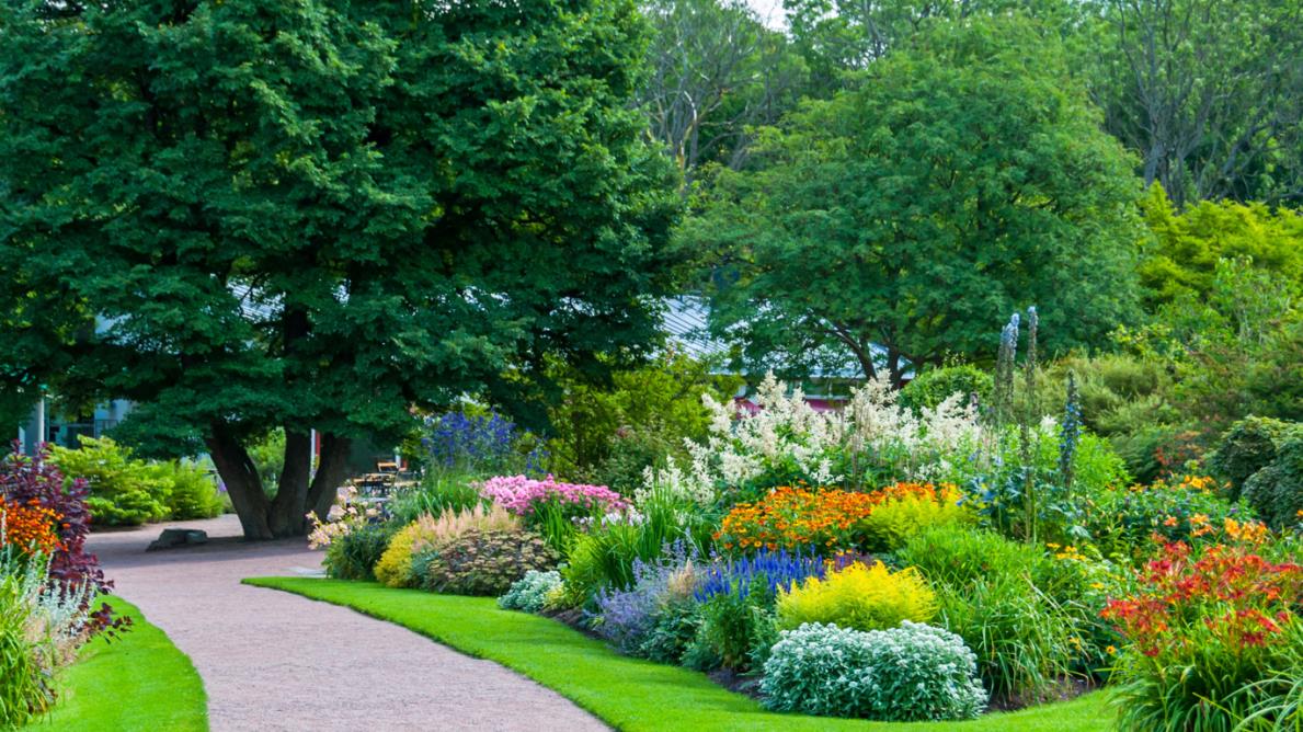 A Garden of Eden Before You Hargrave Ministries