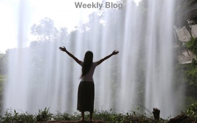 The Entire Removal of Sin