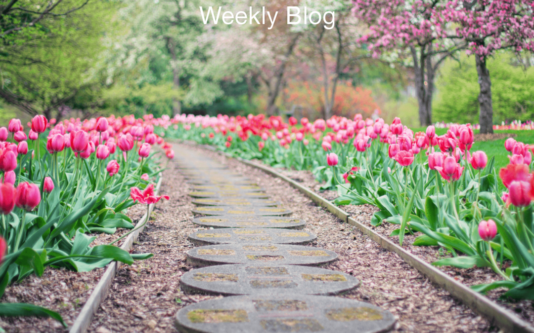 Today, Step Into His Glory