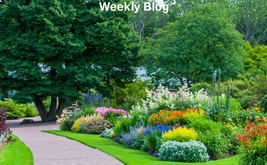 A Garden of Eden Before You