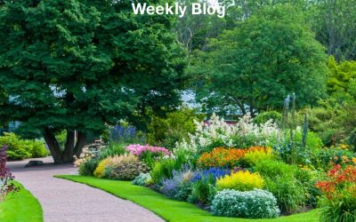 A Garden of Eden Before You