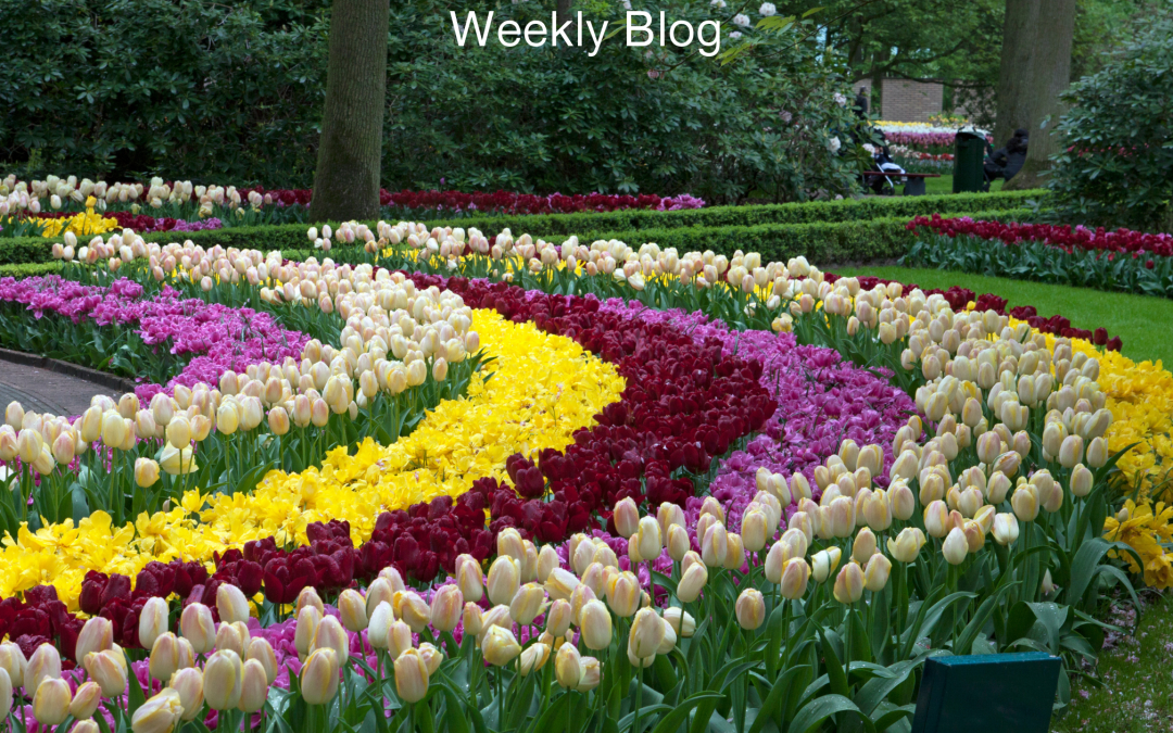 All Creation Set Free                      