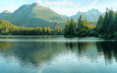 Enter His Rest Today