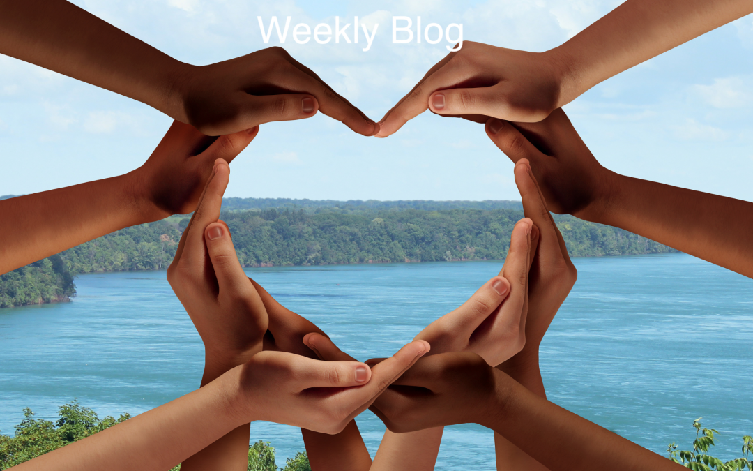 God Did Not Make a Mistake                         