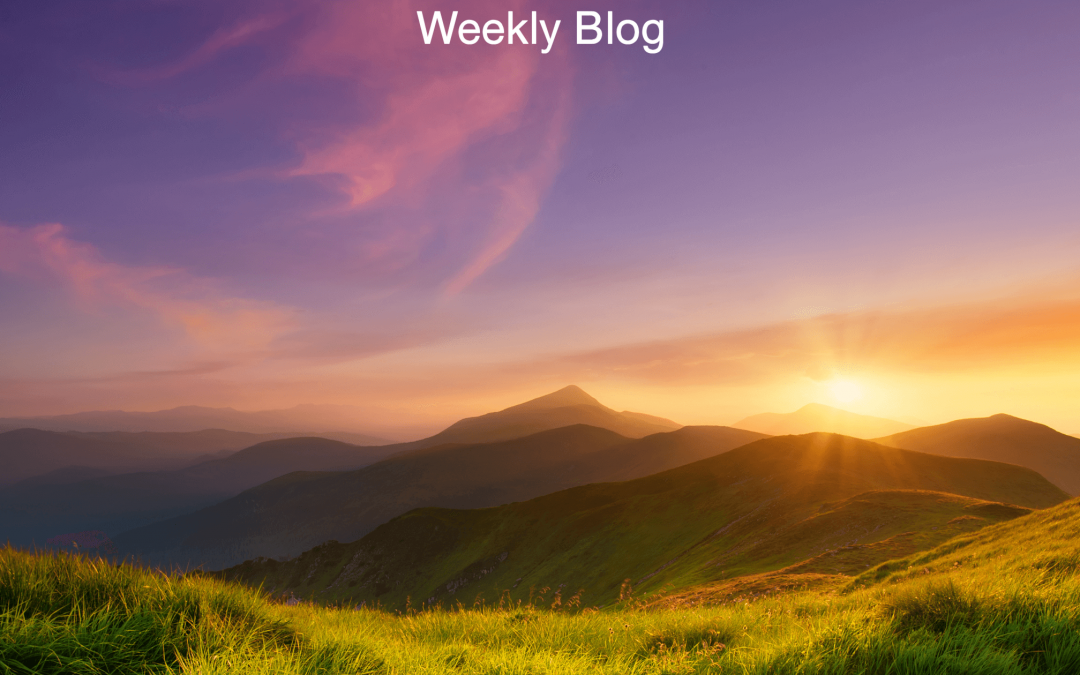 Hide in the Secret Place