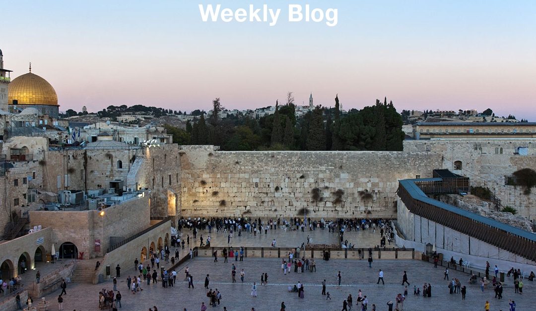 I Will Gather You to the Land