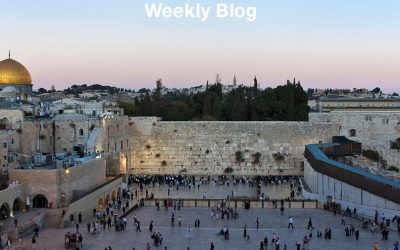 I Will Gather You to the Land