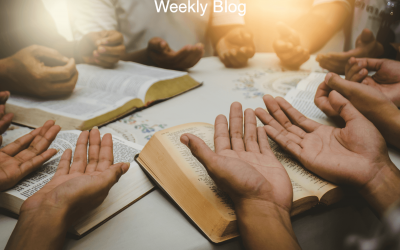 Learn the Lessons of the Bible