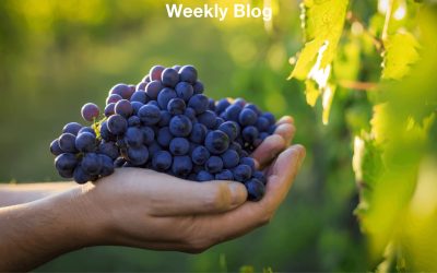 New Feeding for a New Day