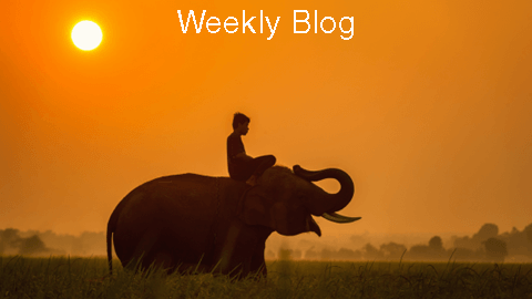 The Blind Men and the Elephant