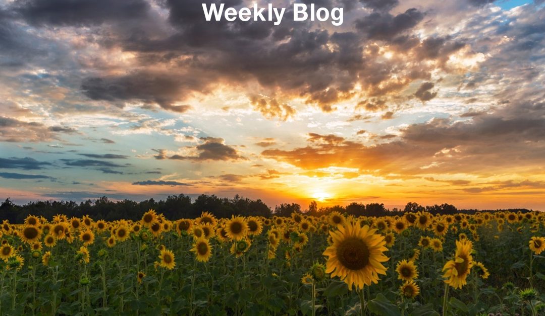 Draw Me Into Your Arms