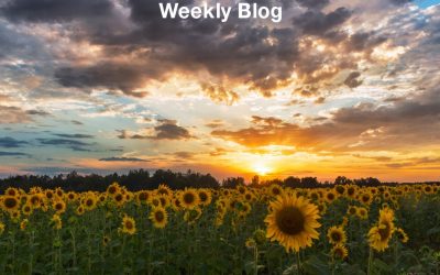 Draw Me Into Your Arms