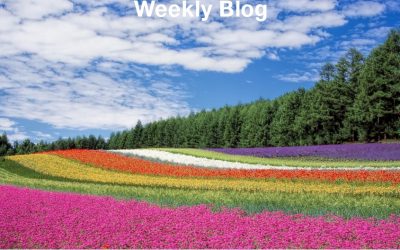 God’s Lovingkindness Is Everlasting