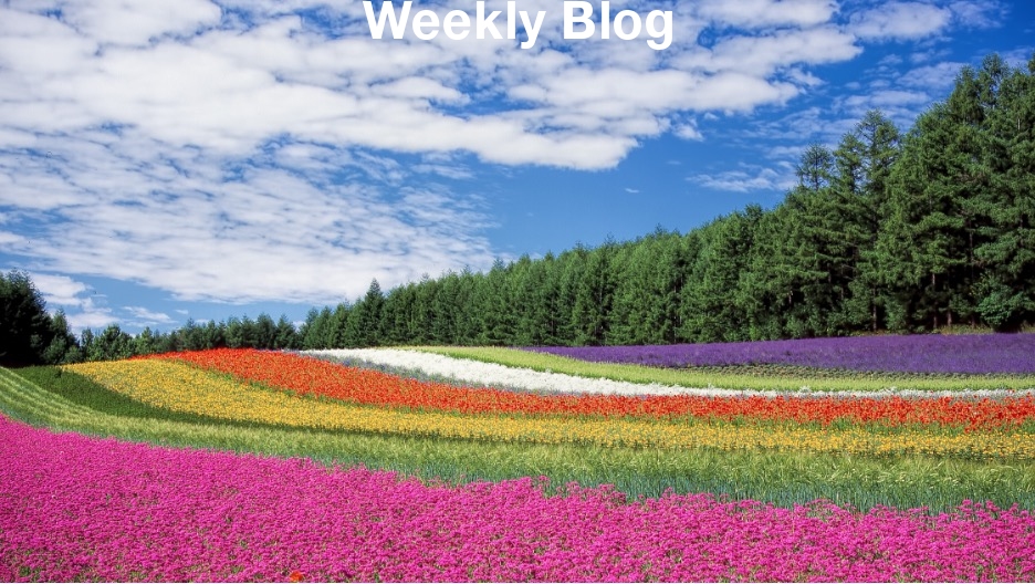 God’s Lovingkindness Is Everlasting