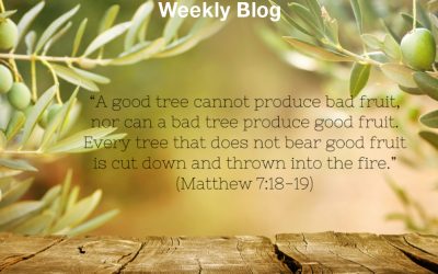 The Rich Root of the Olive Tree