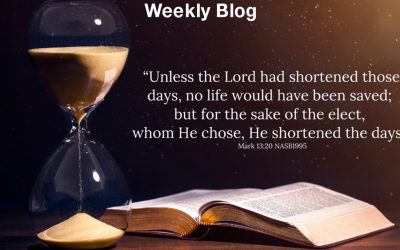 Salvation for the World