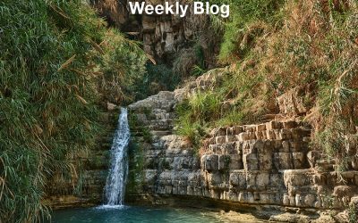 Ein Gedi — An Oasis in the Wilderness