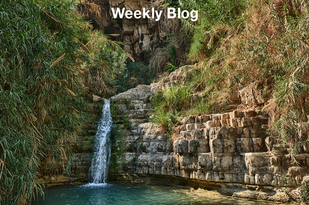 Ein Gedi — An Oasis in the Wilderness