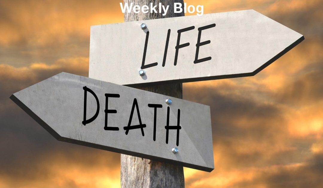 What Will You Choose?