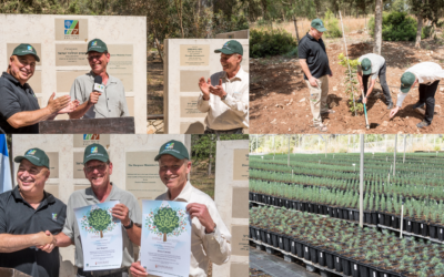 The New Year for Trees