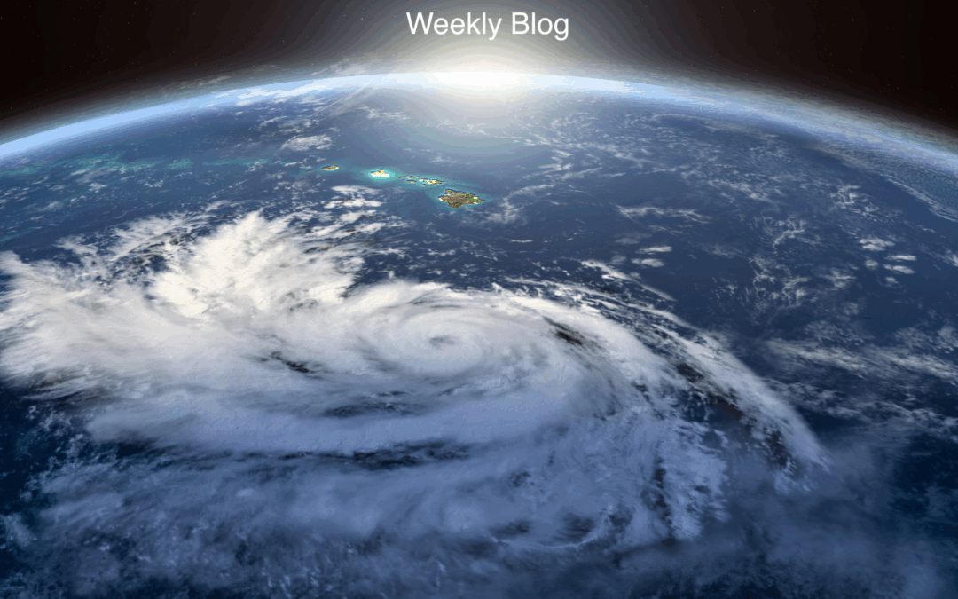 Rise Above the Hurricane                                                         