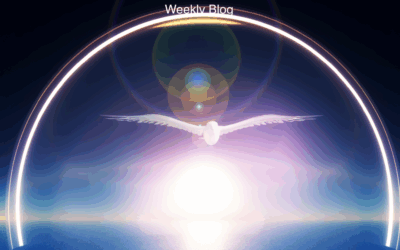 God’s Purpose for Us                                                             