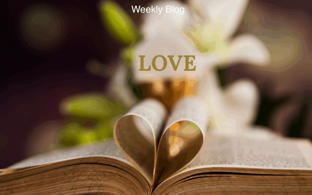 God’s Special Armor                                                                                                       