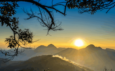 The Realm Where All Things Are Possible                        