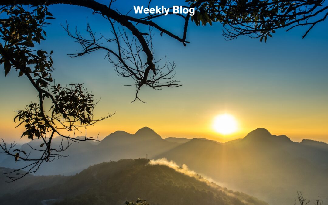 The Realm Where All Things Are Possible                        