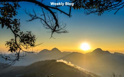 The Realm Where All Things Are Possible