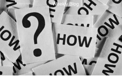 How Did Christ Respond to His Culture?                      