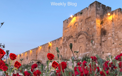 Pray for the Peace of Jerusalem