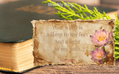 Meditate on the Word of God