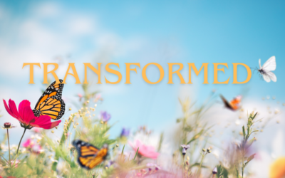 Transformed Into His Image