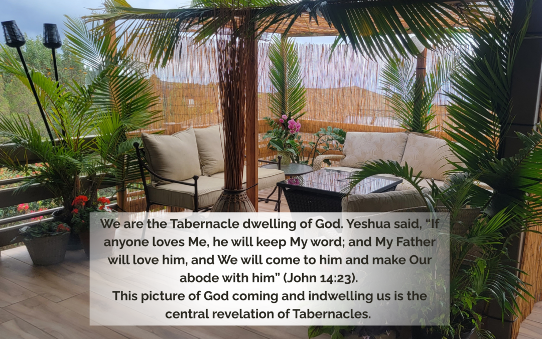 Our Obedience to the Father             